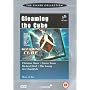 Gleaming the Cube [1988]