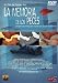 DVD : Goldfish Memory [2004]