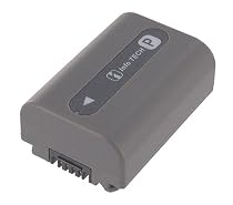 Battery-Biz SONY DCR-HC85 Camcorder battery