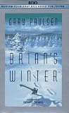 Brian's Winter