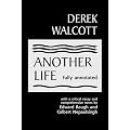 Another Life: Fully Annotated