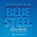 Dean Markley Blue Steel LT 2034 Acoustic Guitar Strings (.011-.046)