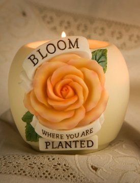Bloom Where You Are Orchid Design