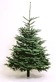 1.75-2m (6-7ft) Christmas tree, delivery between the 7th & 9th Dec