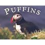 Puffins (Colin Baxter Gift Book)