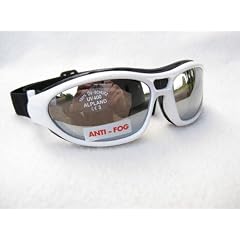 ALPLAND SKIBRILLE, BERG , GLETSCHER , KITE-SPORTBRILLE / INKLUSIVE SOFTBAG