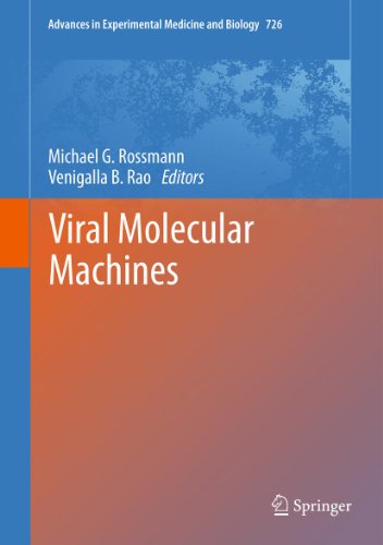 Viral Molecular Machines: 726 (Advances in Experimental Medicine and Biology)