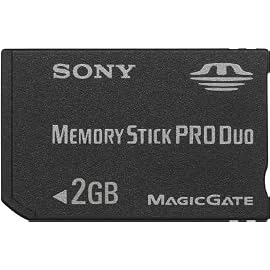 SONY メモリースティックPRO Duo 2GB MSX-M2GS