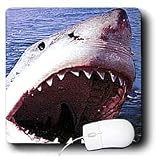 Sharks - Great White - Mouse Pads