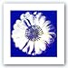 Flower for Tacoma Dome, c. 1982 (blue and white) by Andy Warhol 13.75
