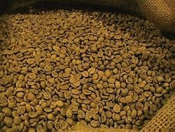 Brazil Premium Green Coffee Bean 5 Lb.