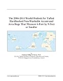 The 2006-2011 World Outlook for Tufted Hardbacked Non-Washable Accent and Area Rugs That Measure 6-Feet by 9-Feet or Smaller
