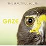 Gaze