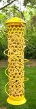 Songbird Essentials SEBQSBF9Y Spiral Whole Peanut Bird Feeder