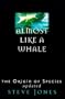 Almost Like a Whale