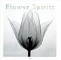 Flower Spirits Calendar (2003)