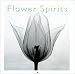 Flower Spirits Calendar (2003)