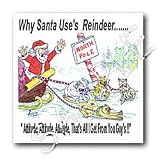 Rich Diesslins Cartoon Days of Christmas TCDC - Kevin Edler, Why Santa Uses Reindeer - Iron on Heat Transfers