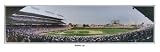 MLB Chicago Cubs Wrigley Field Stadium, Batter Up Panoramic Print Unframed