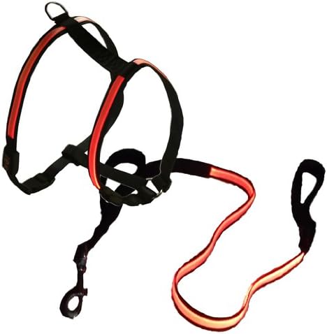 Illuminated Red Leash & Harness Patriotic Package SALE