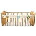 OrganicSmart by Leachco Easy Teether