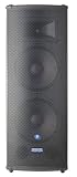 Mackie S225 Dual 15 2-Way Precision Loudspeaker