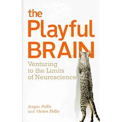 The Playful Brain: Venturing to the Limits of Neuroscience