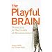 The Playful Brain: Venturing to the Limits of Neuroscience