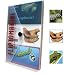 Animals Flipbook 3-pack