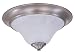 Framburg 9326 BS/PN Brushed Stainless with Polished Nickel Accents Bellevue Contemporary / Modern Fl
