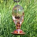 Avant Garden 8110-3 Looking Glass Hummingbird Feeder