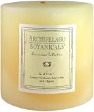 Archipelago Botanicals Excursion Collection Candle Pillar ( 3.5 in L x 3.5 in W )