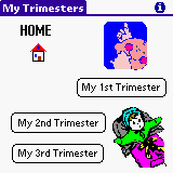 Trimesters