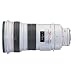 Canon EF 300mm f/2.8L IS USM Telephoto Lens for Canon SLR Cameras