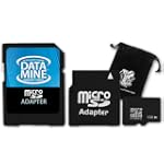 Blazing 8GB MicroSD Memory Card with MiniSD & StandardSD Adapters for Nintendo DSi ***Includes Accessory Bag***