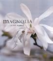 Magnolias 