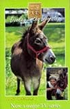 Donkey on the doorstep
