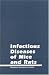 Infectious Diseases of Mice and Rats