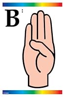 Sign Language Learning Cards with Braille (Learning Cards)