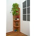Eckregal, Viertelregal aus Massivholz Buche ge�lt, Eckschrank, Eckkonsole, Viertelregal