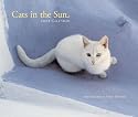 Cats in the Sun 2008 Wall Calendar