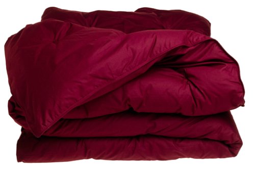 black friday price Pacific Coast Feather Co 61139