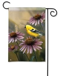 Goldfinch & Coneflower Garden Flag