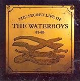 Music : The Secret Life of the Waterboys 1981-1985
