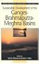 Sustainable Development of the Ganges Brahmaputra-Meghna Basins (UNU Series on Water Resources Management and Policy)