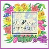 Seedballz Wildflower
