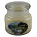 Going Green Soy Candles - Juniper Garden Soy Candle - in a 10 Ounce Apothecary jar