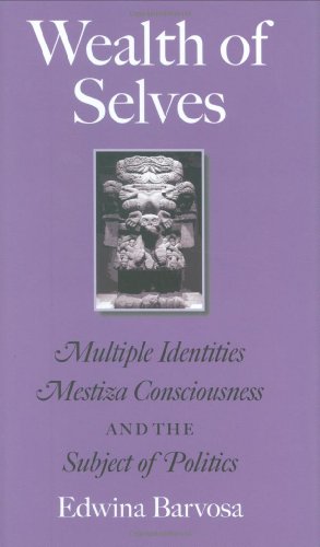 Wealth of Selves: Multiple Identities, Mestiza Consciousness, and the Subject of Politics (Rio Grande/Rio Bravo: Borderlands Culture and Traditions)