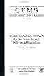 Weak Convergence Methods for Nonlinear Partial Differential Equations (Regional Conference Seriess in Mathematics, No 74) CBMS/74 (Cbms Regional Conference Series in Mathematics)