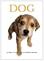 Dog Dog